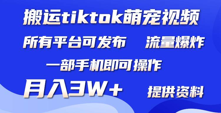 搬运Tiktok萌宠类视频，一部手机即可。所有短视频平台均可操作，月入3W+-BT网赚资源网